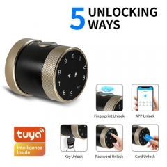 FL-D06 Tuya App Round Knob smart door lock