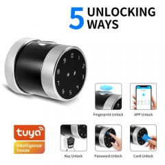 FL-D06 Tuya App Round Knob smart door lock