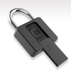 Electronic Biometric Finger Print Smart Security Padlocks Fingerprint Padlock for Door Luggage Safety