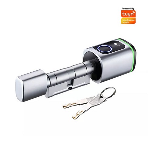 New Arrival elegant Cylinder Smart Lock