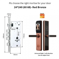 FL-H11C Smart App Fingerprint Semi-automatic Door Lock with LCD Display