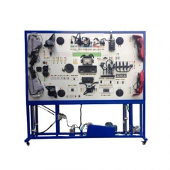 Standard Body Electrical Training Stand Vocational Education Equipment For School Lab Automative Trainer Equipment