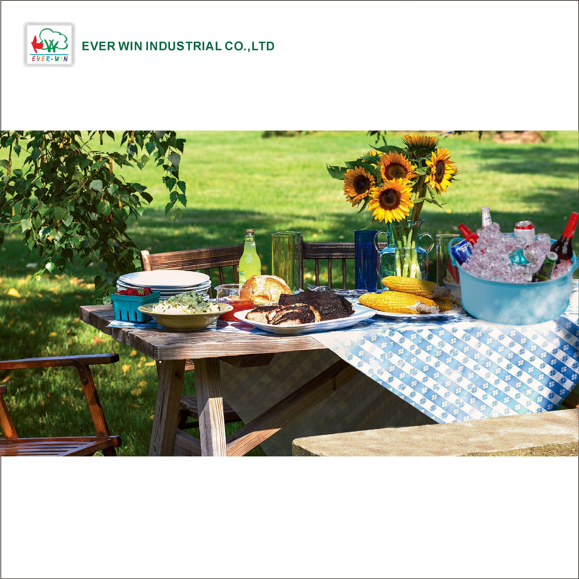 COLLAPSABLE STORAGE BAG