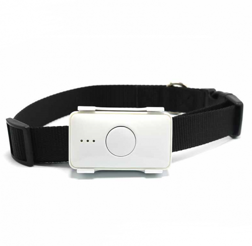 GT105B  4G Pets gps tracker, mini gps tracker