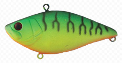 CD005Y