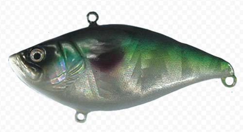CD005Y