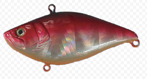 CD005Y