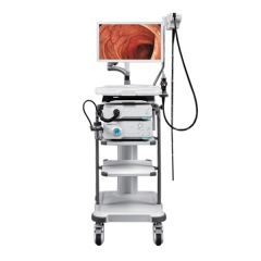 Endoscope vidéo de haute qualité HD-500 gastroscope vidéo endoscope à vendre