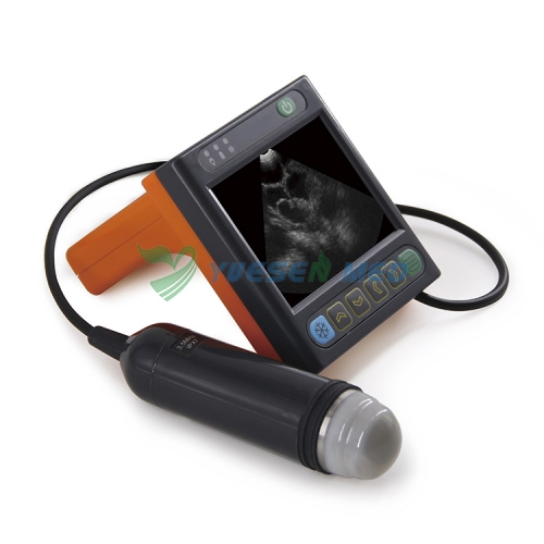 Instrument diagnostique ultrasonique YSB-U3V de secteur mécanique vétérinaire de Digital