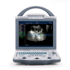 Máquina de ultrassom portátil veterinária YSB5600V