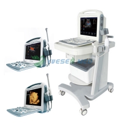 Portable 3D 4D Color Doppler Ultrasound Scanner YSB2000