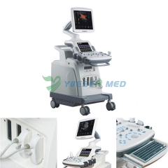 Trolley 3D 4D Color Doppler Ultrasound Scanner YSB8000P