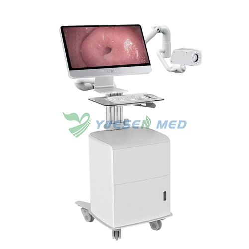 Colposcope optique numérique YSSW3305