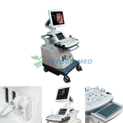 Carrito 3D 4D escáner de ultrasonido Doppler color YSB8000P