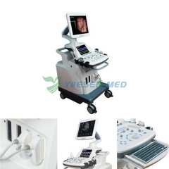 Trolley 3D 4D Color Doppler Ultrasound Scanner YSB8000P