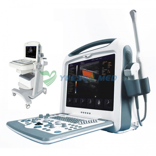 Portable 3D 4D Color Doppler Ultrasound Scanner YSB2000