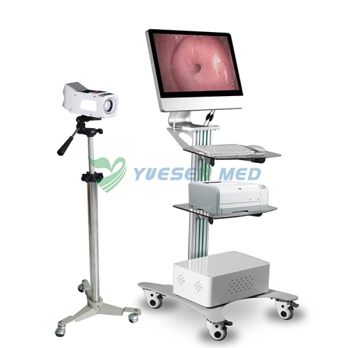 Colposcope optique numérique YSSW3304