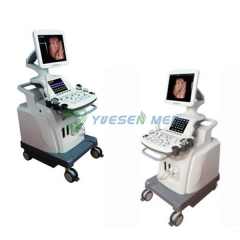 Trolley 3D 4D Color Doppler Ultrasound Scanner YSB8000P