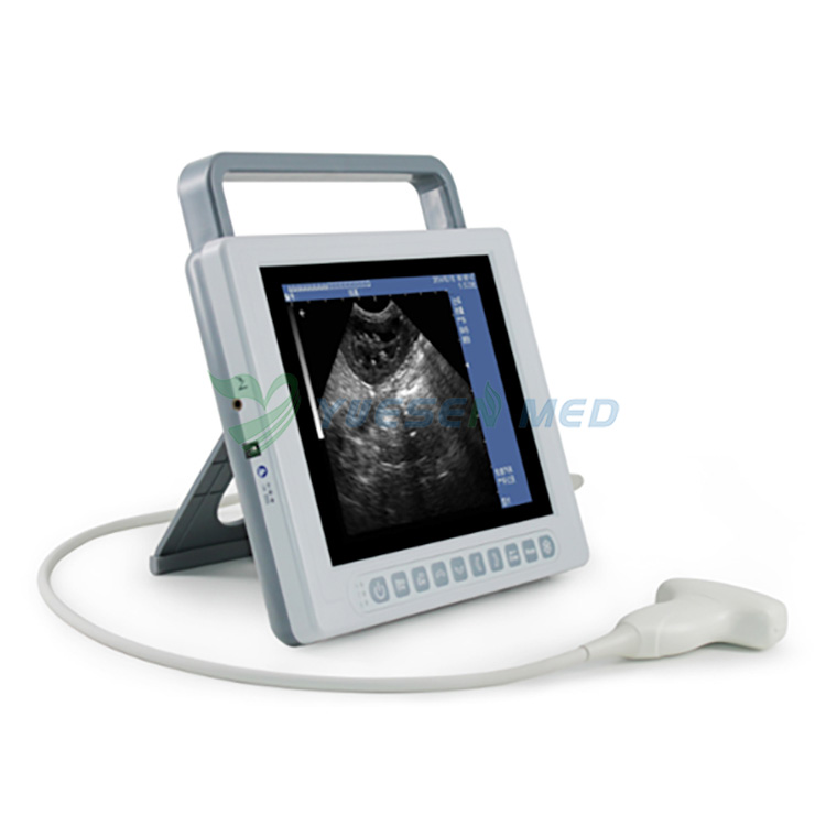 Animal Hospital Veterinary ultrasound