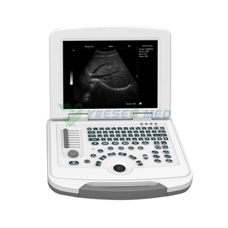 Laptop Veterinary Ultrasound Scanner