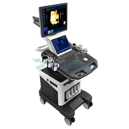 4D Ultrasound Scanner for Sale YSB-T6