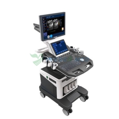 4D Ultrasound Scanner for Sale YSB-T6