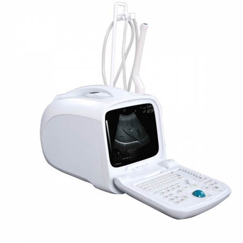 Desktop Ultrasound Scanner YSB0123