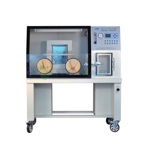 YQX-II Anaerobic Cultivation Chamber