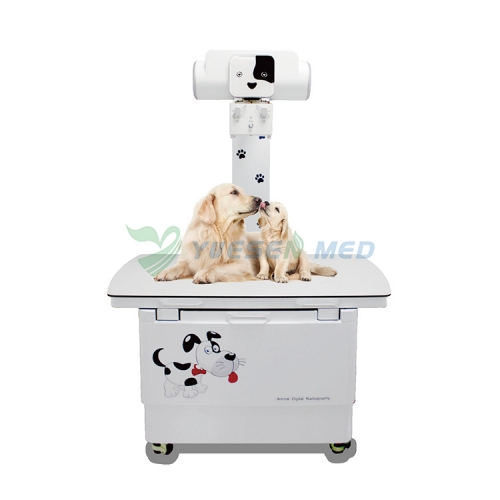 Máquina de Raio-X Veterinária Unidade de Raio-X YSX400VET