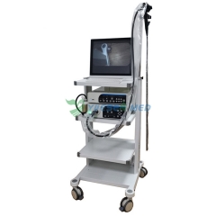 Système d'endoscope vidéo YSVG1050