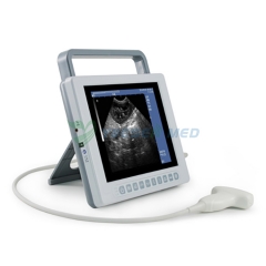 Animal Hospital Veterinary ultrasound YSB-K10V2