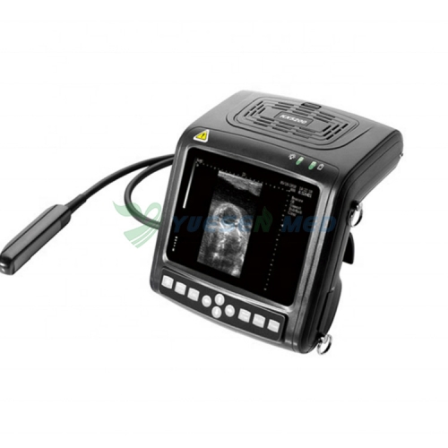 Échographe animal numérique portable N/B YSB5200V