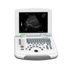 Scanner de ultrassom veterinário para laptop YSB-VET2