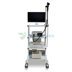 Système d'endoscope vidéo vétérinaire YSNJ-1050VET