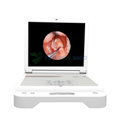 Système de caméra d'endoscope médical HD portable YSGW611