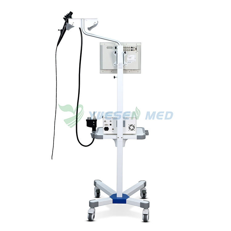 YSENDO150V HD Vet Video Endoscope System