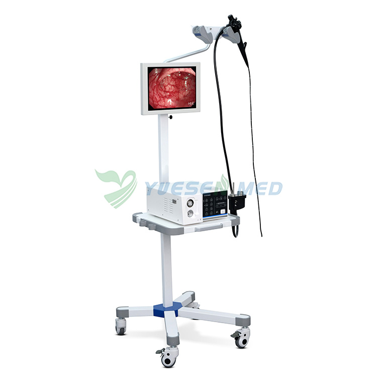 YSENDO150V HD Vet Video Endoscope System