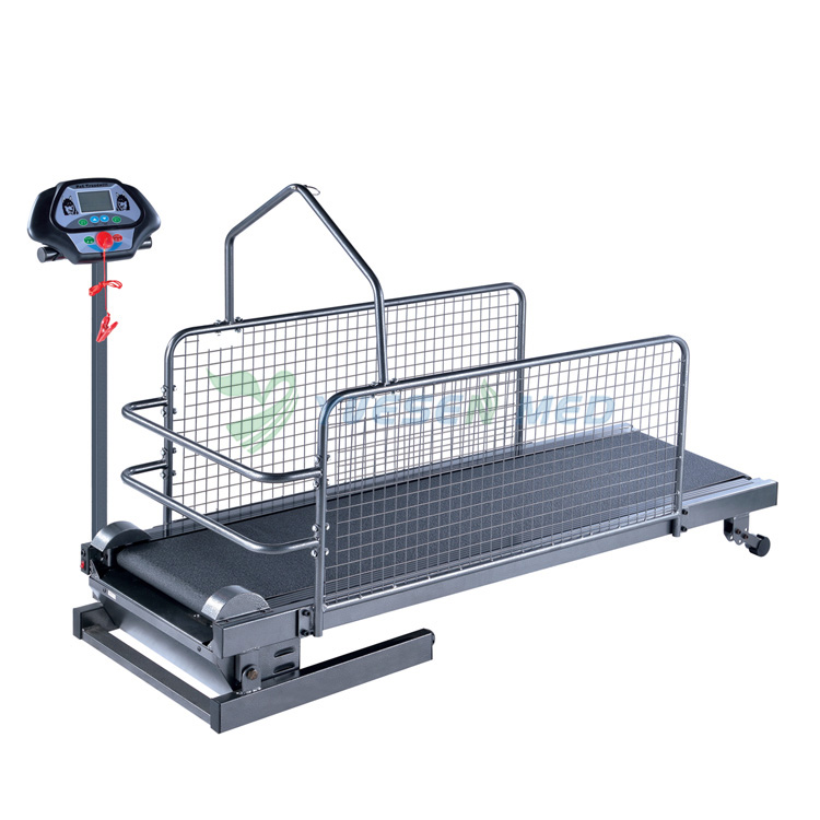 Pet Dog Treadmill And Animal Weighing Scale Ship To Burkina Faso