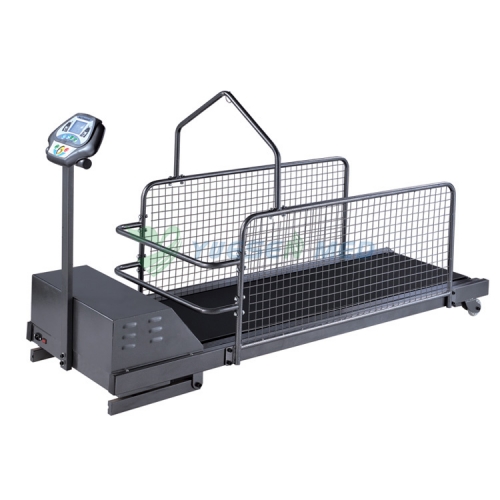 YSVET-TM300WS Animal Treadmill Vet Treadmill