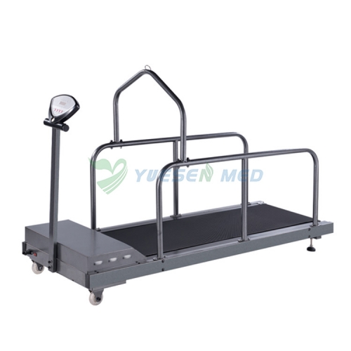 YSVET-TM300G Animal Treadmill Veterinary Strong Durable Dog Treadmill