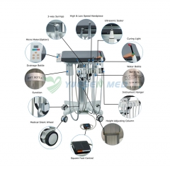 YSDEN-302S Cheap Cart Type Mobile Dental Chair Unit For Veterinary Clinic