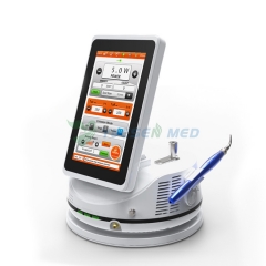 CHEESE II Cirurgia odontológica laser diodo mini laser dental terapia oral clareamento dos dentes 10 w 980nm laser dental