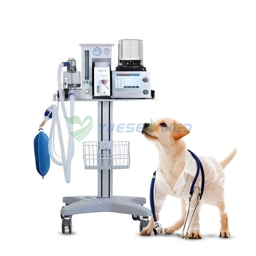 Animaux de compagnie dispositif d'anesthésie vétérinaires médicaux