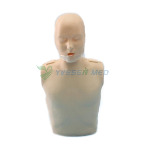 Half body CPR training manikin(Simple)