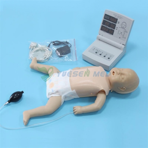 Senior Infant CPR manikin