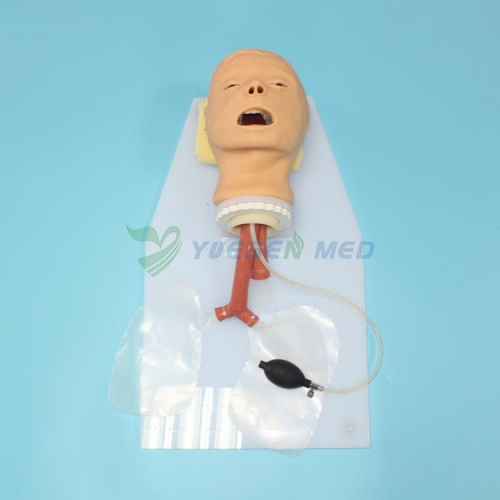Trachea intubation Training Model BIX-J50