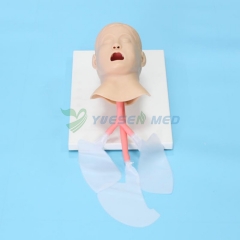 Advanced child trachea intubation model BIX-J4A