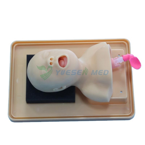 Neonate Head for trachea Intubation model BIX-J2A