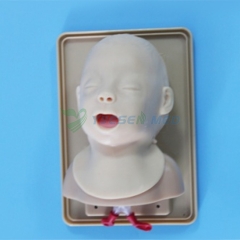 Advanced infant head for trachea intubation model BIXJ3A