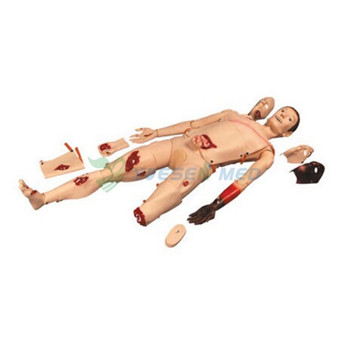 Advanced Trauma Model for medical training BIX-J110